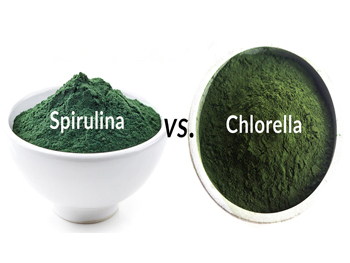 Chlorella Powder vs Spirulina